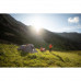 Палатка треккинговая 3-местная TREK 900 Ultralight FORCLAZ Палатка треккинговая 3-местная TREK 900 Ultralight FORCLAZ